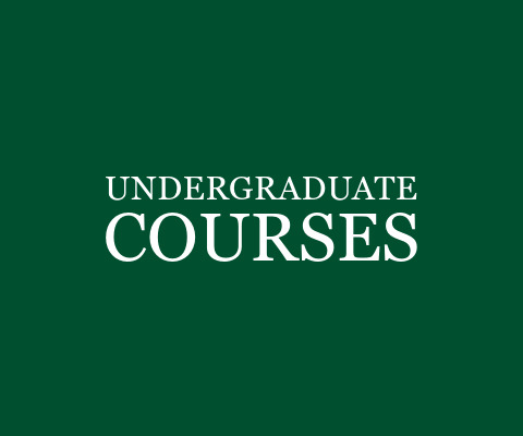 Undergraduate Courses